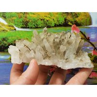 Erstaunlicher Quarz Aus Bulgarien, Goldmineralien, Kristallstein, Rohes Naturprodukt, Geschenkmineralien, Sammlung, Seltene Cluster von Mccollecti0nShop