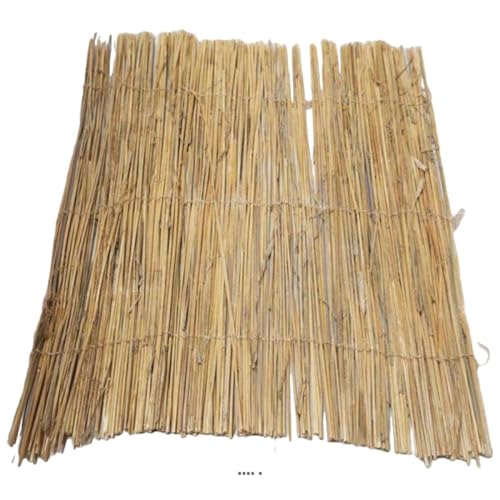 Artificielles.com - Natürlicher Strohhalm und Roggenähren, 45 x 55 cm, desinfiziert, Top Natureffekt Artificielles.com - Natürlicher Strohhalm und Roggenähren, 45 x 55 cm, desinfiziert, Top Natureffekt von Mcties