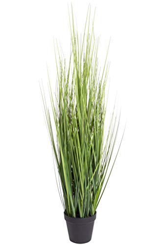 Nova-Nature künstliches Grasarrangement King Festuca im schwarzen Kunststofftopf (ca. 86 cm) von Mcties