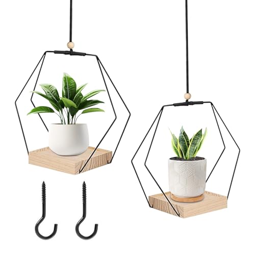2 stuck Blumenampel Blumentopf Hängend Indoor/Outdoor - Metall Hängetopf mit Holzsockel,Pflanzenampel mit 80cm Verstellbare Baumwollschnur,Wetterfester Blumentopf für Zimmerpflanzen,Sukkulenten & Deko 2 stuck Blumenampel Blumentopf Hängend Indoor/Outdoor - Metall Hängetopf mit Holzsockel,Pflanzenampel mit 80cm Verstellbare Baumwollschnur,Wetterfester Blumentopf für Zimmerpflanzen,Sukkulenten & Deko von MeYuxg