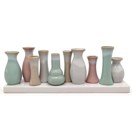 Mea-Living 10 Väschen auf Tablett aus Keramik Multicolour - 10er Blumenvase aus Porzellan in bunt modern, dekorative Geschenkidee von Mea-Living