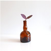 Vintage Bernstein Glasflasche Braune Spirituosenflasche, Wohnkultur Vintage Bernstein Glasflasche Braune Spirituosenflasche, Wohnkultur von MeadowSideVintage