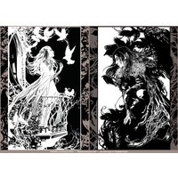 Licht Und Schatten -Special Edition - Original Fantasy Kunstdruck Set von Meadowhaven