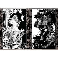 Light & Shadow -Special Edition - Original Fantasy Kunstdruck Set von Meadowhaven