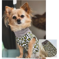 Hundepullover | Leo Hundesweater Hundemode Hundekleidung Chihuahuapullover Chihuahuakleidung von MeandchiDesigns