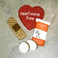 Herz Wurm Frei Get Well Soon Hunde Leckerli Haustier Geschenk Lang Anhaltende Harte Leckerli von MeatloafsKitchen