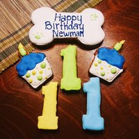 Personalisierte Erste Geburtstag Hund Behandelt Cupcake Leckereien Mit Nummer 1 Haustier Geschenk Lang Anhaltende Hard Personalisierte Erste Geburtstag Hund Behandelt Cupcake Leckereien Mit Nummer 1 Haustier Geschenk Lang Anhaltende Hard von MeatloafsKitchen