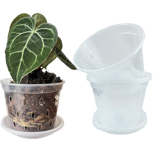 Transparente Blumentöpfe mit Löchern und Untersetzern, 11 cm, für tropische Pflanzen, Orchidee, Anthurium, Clarinervium, Monstera (5, 11 cm mit Untersetzern) von Meboem