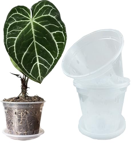 Transparente Blumentöpfe mit Löchern und Untersetzern, 17 cm, für tropische Pflanzen, Orchidee, Anthurium, Clarinervium, Monstera (6, 17 cm mit Untertellern) von Meboem