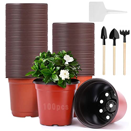 Mecctuck 100 Stück Pflanztöpfe, Mini Anzuchttöpfe, 10cm Plastic Plant Pot, Multifunktional Praktisch Pflanzcontainer, Plastic Round Growing Pot für Growing und Sowing und 10 Stück Plants Tags Mecctuck 100 Stück Pflanztöpfe, Mini Anzuchttöpfe, 10cm Plastic Plant Pot, Multifunktional Praktisch Pflanzcontainer, Plastic Round Growing Pot für Growing und Sowing und 10 Stück Plants Tags von Mecctuck
