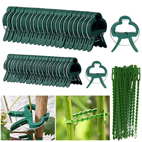 Mecctuck 90 Stück Pflanzenklammern,Pflanzenclips,Verstellbare 2 Größe Gartenpflanze Clips,Pflanzen Verbinder Werkzeug für Stabilisierung,Pflanzenclips mit 30 Pflanzenbindern(30 große + 30 kleine) Mecctuck 90 Stück Pflanzenklammern,Pflanzenclips,Verstellbare 2 Größe Gartenpflanze Clips,Pflanzen Verbinder Werkzeug für Stabilisierung,Pflanzenclips mit 30 Pflanzenbindern(30 große + 30 kleine) von Mecctuck