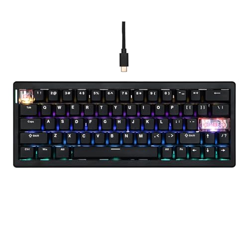 MechLands CIDOO C60 HE Wired Rapid Fast Gaming Keyboard mit Silent Magnetic Switch, Hall-Effekt-Tastatur mit 8K Polling Rate, 0.125ms Latenz, 63-Tasten Compact Layout, Hot-Swappable (Schwarz) von MechLands