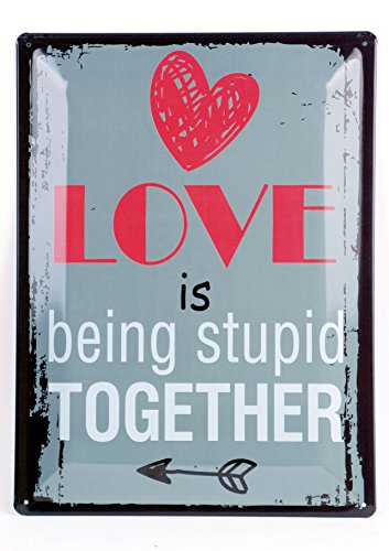 Blechschild 30 x 40 cm Retro Dekoschild Retro Blechschild - Wandschild, Metall, Uni, (Love is Being Stupid Together) von Mediablue