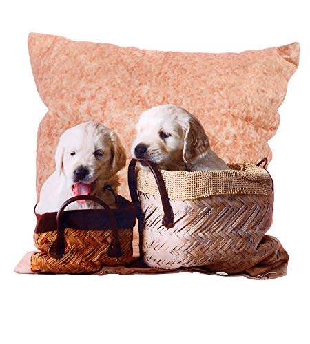 Mediablue Kissenbezug 25 x 25 cm, Kissenhülle Taille Wurf Kopfkissen für Zuhause und Sofa, Schlafzimmer Dekoration (Golden Retriever) von Mediablue