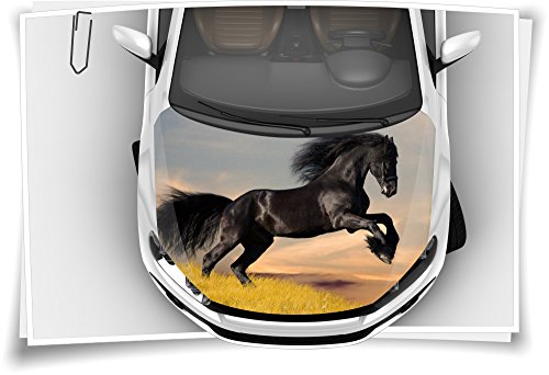 Medianlux Hengst Ross Pferd Black Motorhaube Auto-Aufkleber Steinschlag-Schutz-Folie Airbrush Tuning Car-Wrapping Luftkanalfolie Digitaldruck Folierung von Medianlux