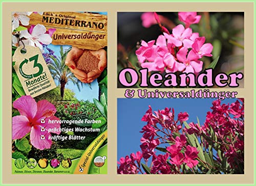 Oleanderdünger 10 Kg für Garten und Balkon verzaubern Sie Ihren Garten. von Mediterrano