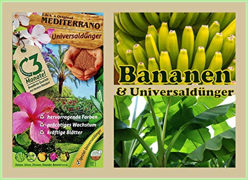 Bananenbaumdünger, Bananendünger,bananendünger,musa basjoo, 1,5 Kg von Mediterrano