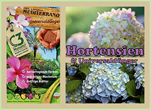 Hortensiendünger von Mediterrano 10 Kg Der Umwelt zu Liebe! von Mediterrano