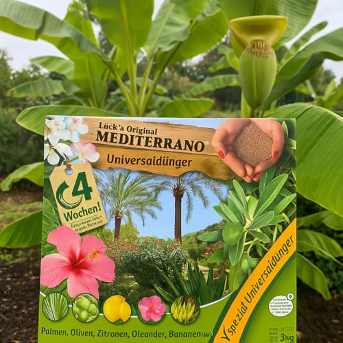 "Mediterrano Bananenbaum Dünger – Optimale Nährstoffversorgung für gesunde, kräftige Bananenbäume!" 3 Kg Original Mediterrano "Mediterrano Bananenbaum Dünger – Optimale Nährstoffversorgung für gesunde, kräftige Bananenbäume!" 3 Kg Original Mediterrano von Mediterrano