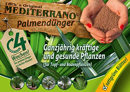 Mediterrano Palmendünger, Hanfpalmendünger, Freilandpalmendünger 10 Kg Original Mediterrano von Mediterrano