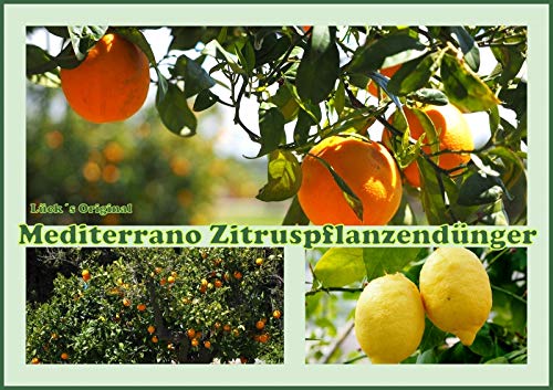Zitruspflanzendünger, Zitronen / Orangendünger 1,5 Kg Original Mediterrano von Mediterrano