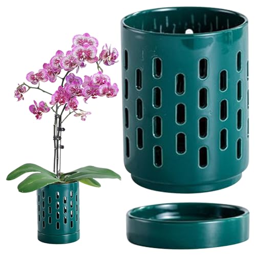 Mednkoku Hohlorchideen -Töpfe mit Löchern und Untertassen, 4 Zoll Kleiner Keramik -Orchideen -Topf, effektiver Entwässerung und Lüftungspflanzer für Innen-/Außengrün, Keramik -Topf von Mednkoku
