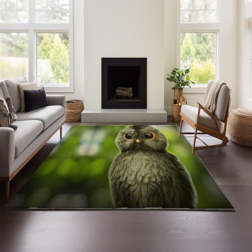 MeeTe Teppich Wohnzimmer 2025, Neu, Leicht, Luxuriös, Eule, Schlafzimmer, Bodenmatte, Sofa, Waschbar, Wasserdicht Und Schmutzabweisend (Eule 01,150x200 cm) von MeeTe