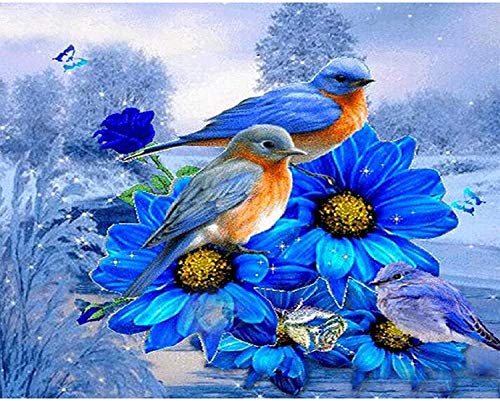 Diamond Painting Set Full Bilder Blau Blume Vogel, Meecaa 5D Diamant Painting Diamant Malerei mit Zubehör 30x40cm (Vogel) von Meecaa