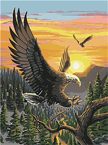 Meecaa Malen nach Zahlen Adler Baum Sonnenuntergang Wald Kit für Erwachsene Anfänger DIY Ölgemälde 40,6 x 50,8 cm (Adler, kein Rahmen) von Meecaa