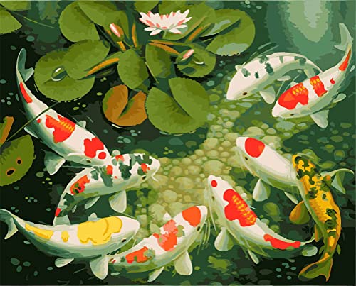 Meecaa Malen nach Zahlen Fisch Goldfisch Tier Lotus Kit für Erwachsene Anfänger DIY Ölgemälde 40,6 x 50,8 cm (Fische, ohne Rahmen) von Meecaa