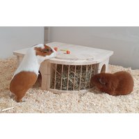 Meerschweinchen Haus Häuschen Heuraufe 80001 Meerschweinchen Haus Häuschen Heuraufe 80001 von MeerSchwaikheim