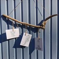 Treibholz | Bilderaufhänger Fotowand Von Der Insel Rügen von Meergeschenke
