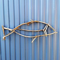 Treibholzfisch Von Der Insel Rügen von Meergeschenke