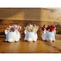 Blumenhund, Blumenmädchen, Raysin, Trockenblumen, Geschenk, Dekoration, Handgefertigt, Unikat, Hundemama Blumenhund, Blumenmädchen, Raysin, Trockenblumen, Geschenk, Dekoration, Handgefertigt, Unikat, Hundemama von Meerzwirn