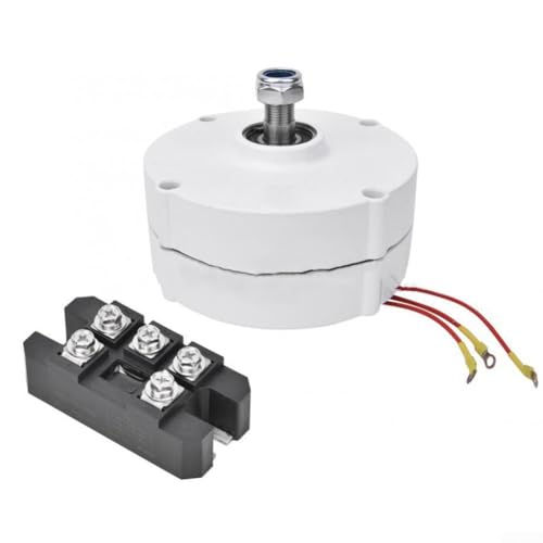 24V 12V 48V Elektrischer Generator mit niedriger Geschwindigkeit und 3-Phasen-Getriebe für Wind- und Wasserturbinenanwendungen, 200W Ausgangsleistung, Karbonstahlspindel (200W 12V) von MeevrgR