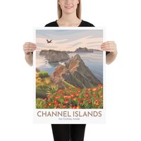 Channel Islands National Park Kunstdruck | Kanalinseln Kunst Pelikan Rote Blume Anacapa Kalifornien Reise Poster Moderner Grafikstil von MegSkibaArt