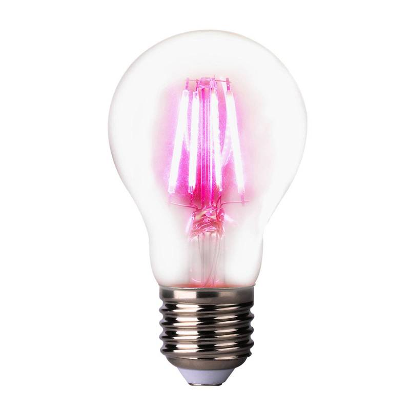 LED-Pflanzenlampe E27 4W, 360° abstrahlend von LightMe