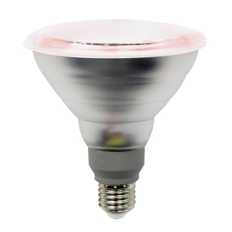 LED-Pflanzenlampe E27 PAR38 12W 50° Abstrahlwinkel LED-Pflanzenlampe E27 PAR38 12W 50° Abstrahlwinkel von LightMe