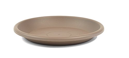 Megaplastic Pflanzkübel-Untersetzer Round für Pflanzkübel Campana/Cylinder (78 cm, Taupe) von qdwq-US