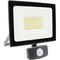 Megatron ISPOT L PIR MT68032 LED-Außenstrahler mit Bewegungsmelder EEK: D (A - G) 27W Neutralweiß von Megatron