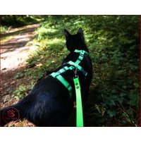 Escape-Sicheres Katzengeschirr, Verstellbares Sicherheits-Abenteuer-Katzengeschirr, Sicheres, Komfortables Ganzkörper-Katzengeschirr von MeggyTrails