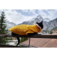 Warmer Katzenpullover, Katzen Winterweste, Zopfmuster Warme Teddy Fleece Katzenjacke von MeggyTrails