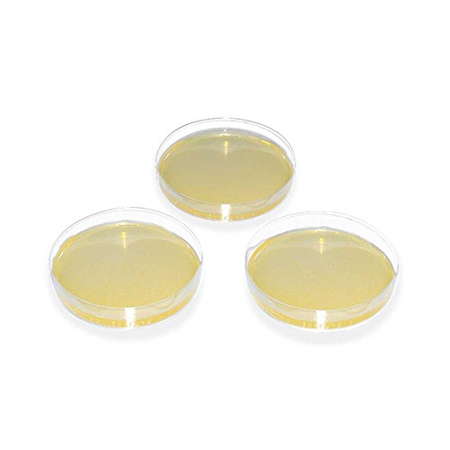 MegroPlate SABOURAUD-2% Glucose-Agar Nährboden Agarplatten Dermatophyten, 20 St. von Niceter