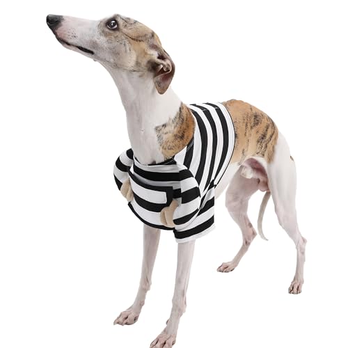 Haustierkostüm für Halloween, Häftlinge, Urlaub, Party, Cosplay, lustig, handgeschriebene Katze, Welpen, Größe XL Haustierkostüm für Halloween, Häftlinge, Urlaub, Party, Cosplay, lustig, handgeschriebene Katze, Welpen, Größe XL von MeiAOBest