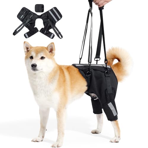 MeiAOBest Hundegeschirr zum Anheben der Hinterbeine, verstellbare Wirbelsäule, Hüftbandage mit reflektierenden, Haustier-Hinterbeinen, nach Operationen, zur Erholung von Spaziergängen, Training und von MeiAOBest