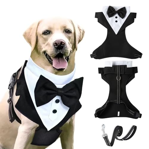 Smokinggeschirr für Hunde mit Leine, Hochzeits-Brustgurt, formelle Weste mit Schleife, verstellbares Frackweste, Geschirr für Welpen, kleine, mittelgroße Hunde, Größe L, Schwarz Smokinggeschirr für Hunde mit Leine, Hochzeits-Brustgurt, formelle Weste mit Schleife, verstellbares Frackweste, Geschirr für Welpen, kleine, mittelgroße Hunde, Größe L, Schwarz von MeiAOBest