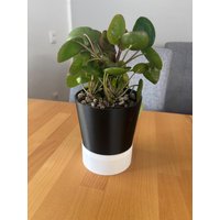 Blumentopf Selbstbewässernd - Kompatibel Mit Lechuza Glossy Blumentopf Selbstbewässernd - Kompatibel Mit Lechuza Glossy von MeiKo3DTechnik