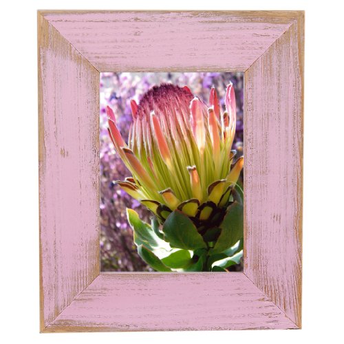 Mein Landhaus Bilderrahmen aus echtem Alt-Holz Stil Vintage, rustikal - handgefertigte Unikate in Rose 20x30 Mein Landhaus Bilderrahmen aus echtem Alt-Holz Stil Vintage, rustikal - handgefertigte Unikate in Rose 20x30 von Mein Landhaus
