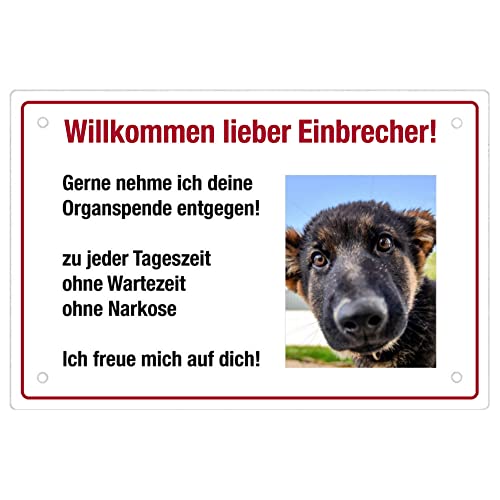 Mein-Wuff Fotoschild Hund personalisierbar (Klein 22,5cmx15cm) Schild Einbrecher Geschenkidee für Hundebesitzer/Türschild/Hundeschild von Mein-Wuff