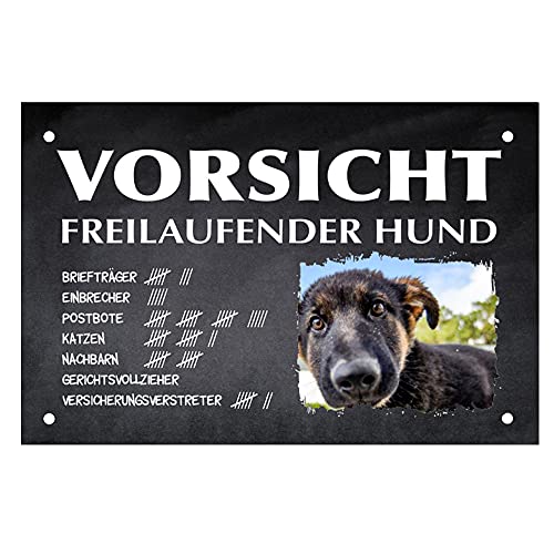 Mein-Wuff Personalisierbares -Foto- Schild mehrere Hunde Vorsicht Hund Geschenkidee für Hundebesitzer/Türschild/Hundeschild - selbst Gestaltung (Einzahl, Groß 43,5cmx29cm) von Mein-Wuff